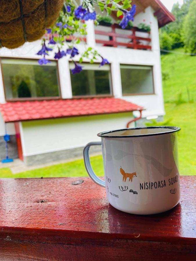 Cabana Nisipoasa Rîu de Mori Εξωτερικό φωτογραφία