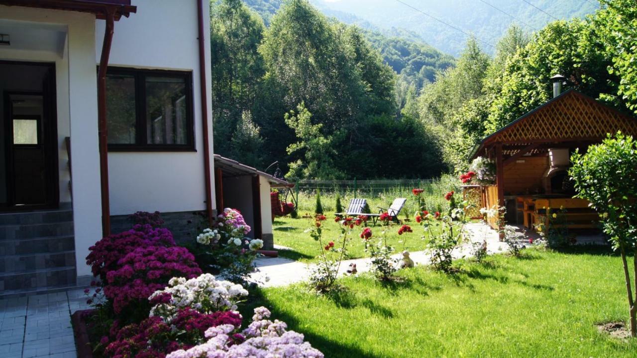 Cabana Nisipoasa Rîu de Mori Εξωτερικό φωτογραφία